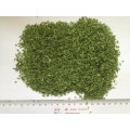 China Air Dried Ad Dehydrated Vegtables Parsley Flakes